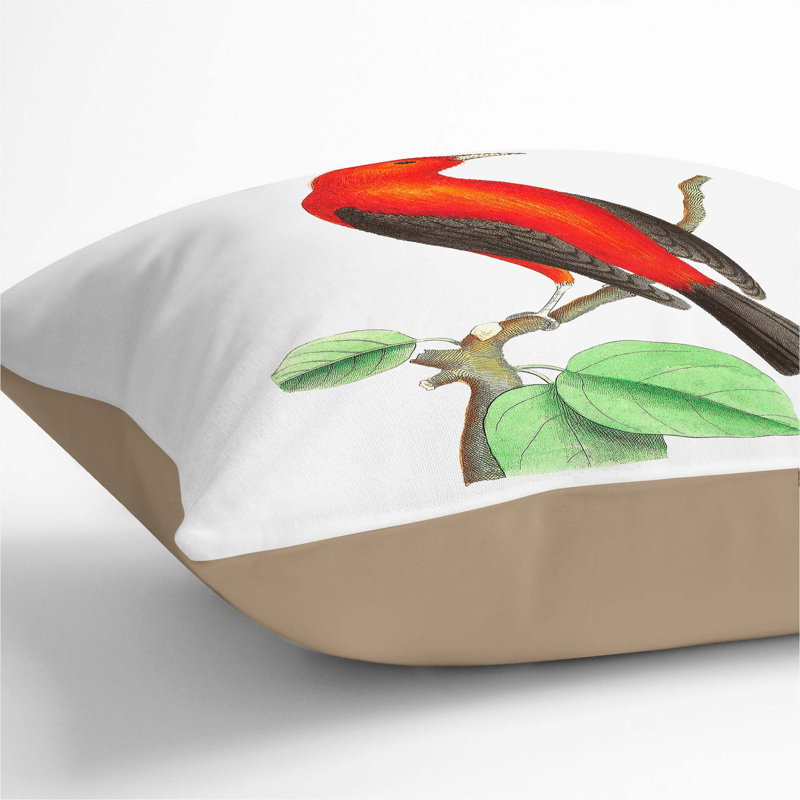 Brazilian Tanager Bird Square Throw Cushion, Stone, 55cm H x 55cm W x 20cm D