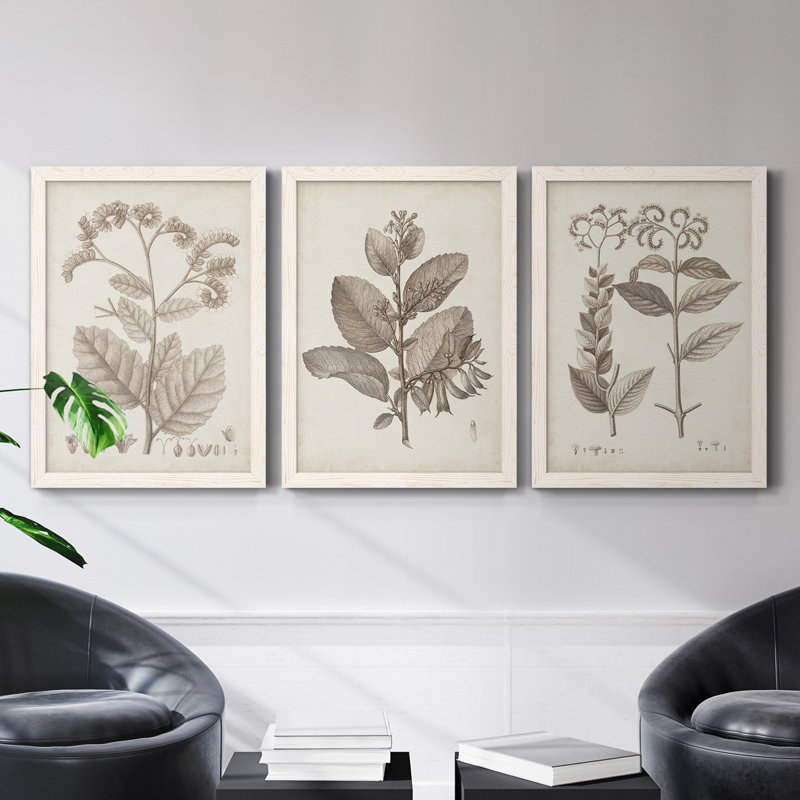 Midnight Tulip III - Ensemble de 3 cadres photo sur toile, Blanc, H 31,5 po x l 47 po x P 1,5 po
