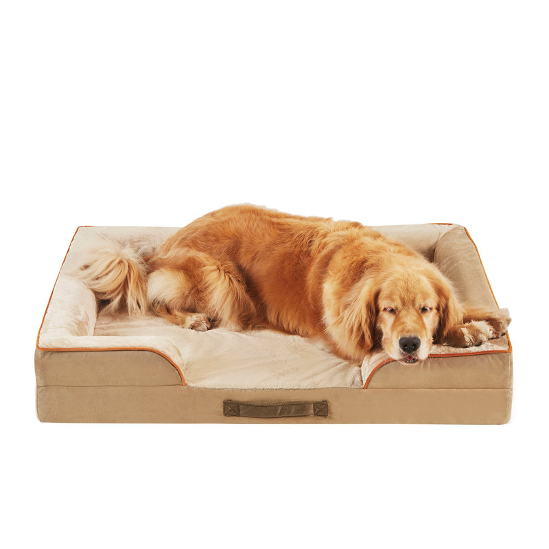 Lit orthopédique pour animaux Canvey, (Très grand) l 42 po x P 32 po x H 6,5 po, Kaki