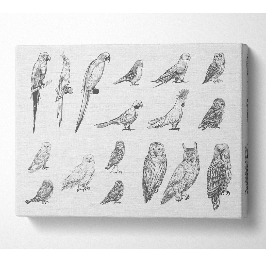 Bird Selection - Kunstdrucke auf Leinwand ohne Rahmen