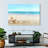 Aletra Beach Seashells-107676699
