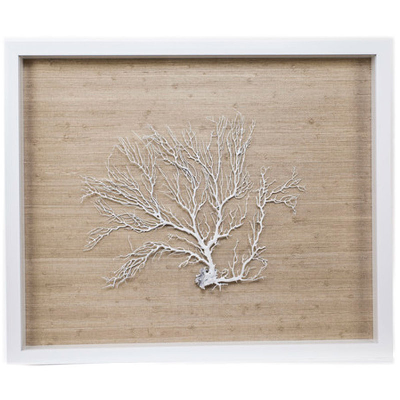 Sealife - Shadowbox, impression sur toile