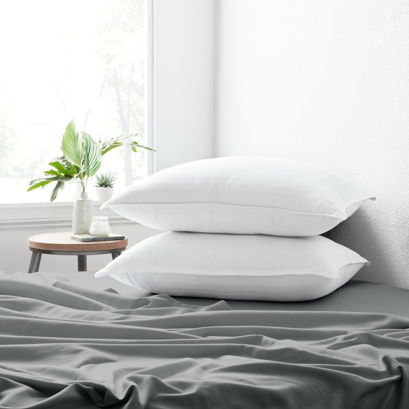 Oreillers en gel Sleep by Wayfair ™, Grand oreiller 20 po x 28 po