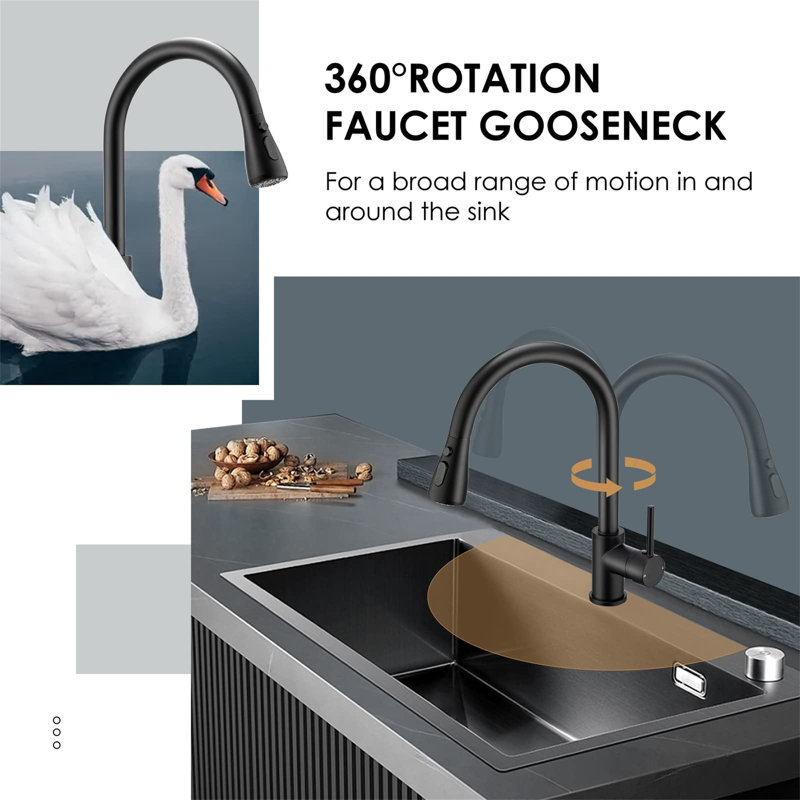 Latitude Run Azizuddin Kitchen Faucet