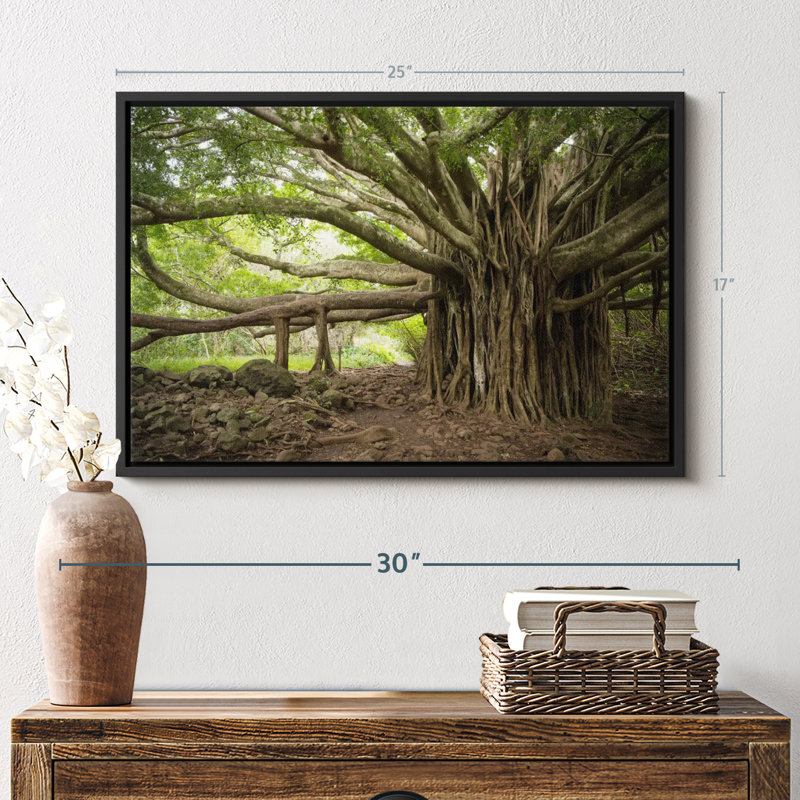 Banyan Tree Canvas Print, 17" H x 25" W