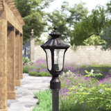 Arelene Lantern Head