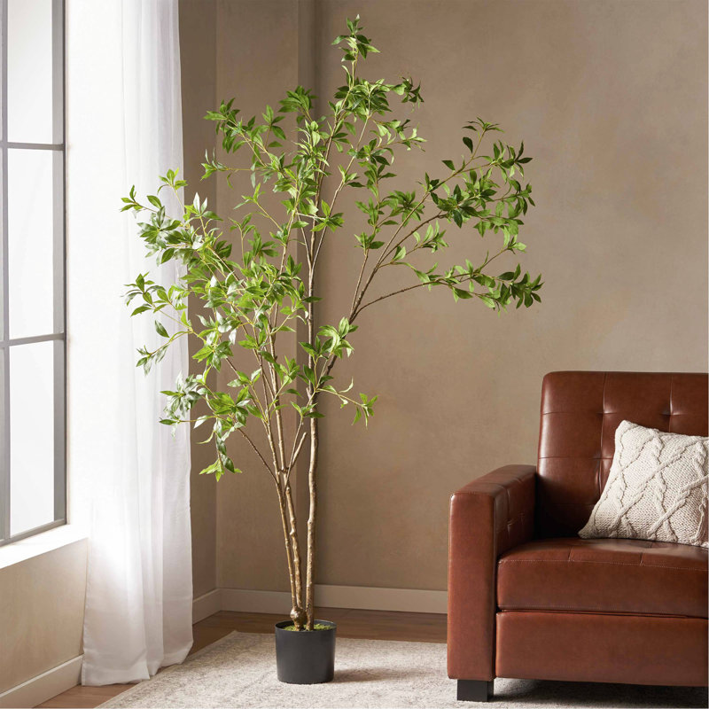 Pieris artificiel, 82,7 po x 39,4 po