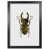 Black Grain Frame