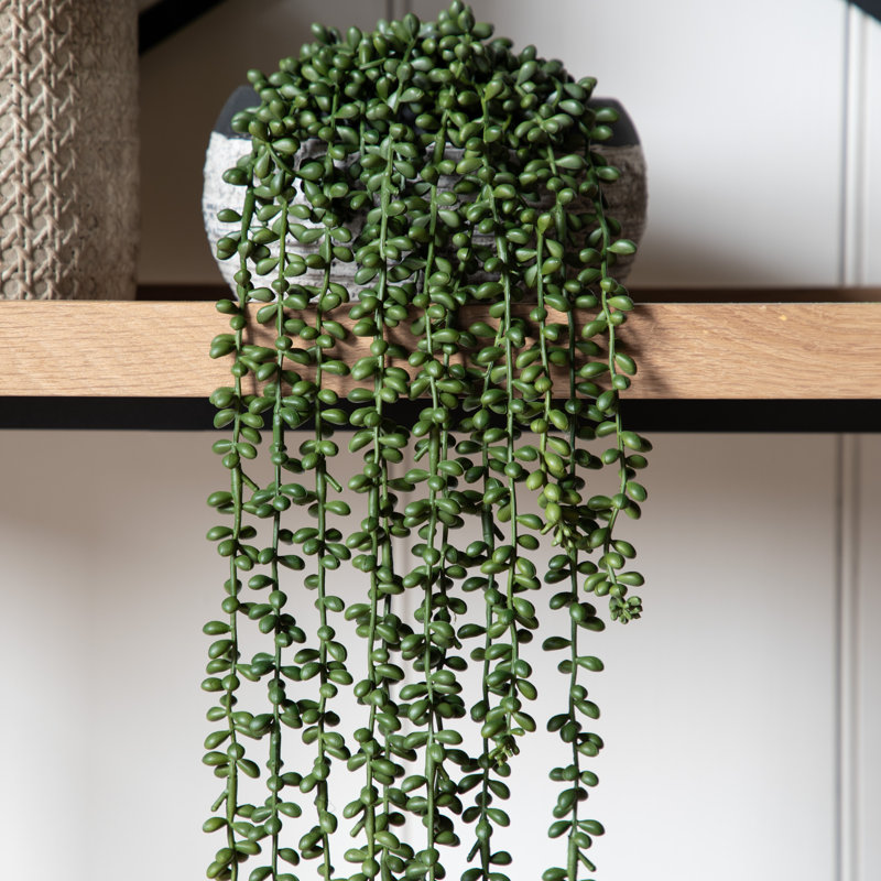72cm Faux Evergreen Succulent