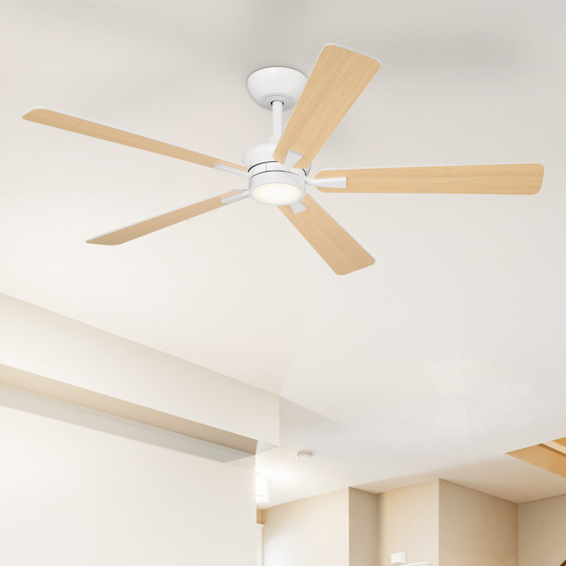 Ventilateur de plafond d'intérieur transitionnel blanc mat de 52 po avec DEL intégrée 3000K avec télécommande incluse Rossby