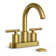 Celestine Centerset Bathroom Faucet with Drain Assembly, 2-handle Bathroom Sink Faucet