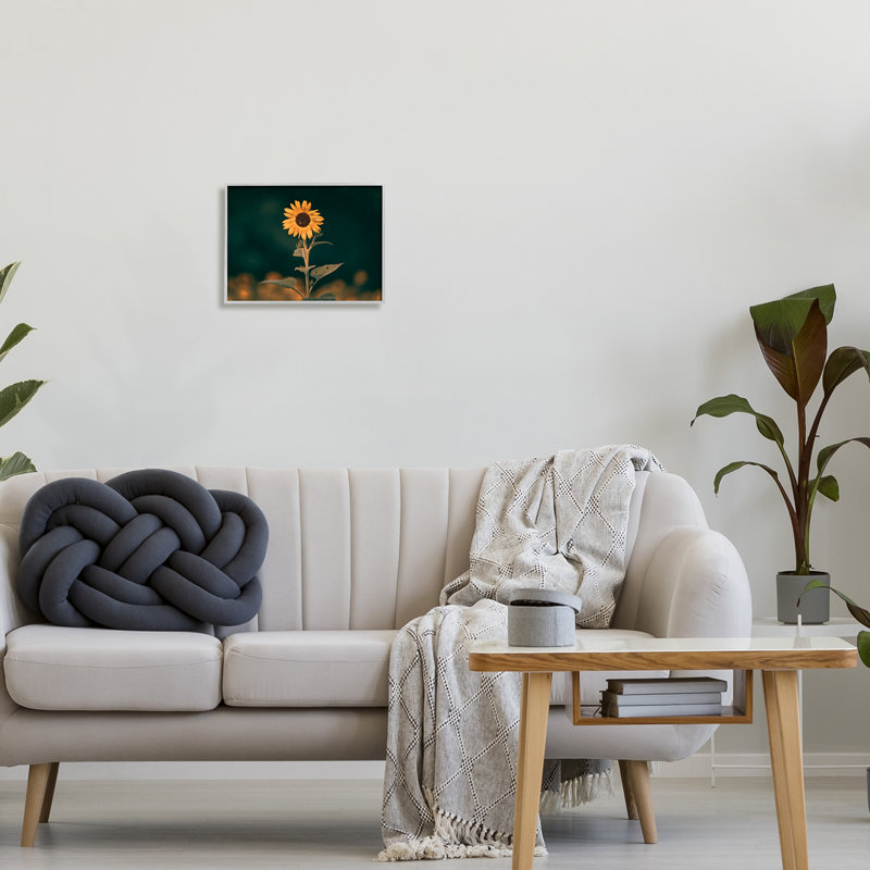 Tournesol foncé nature par Daniel Sproul, Estampe numérique Farmhouse, H 11 po x l 14 po x P 1,5 po