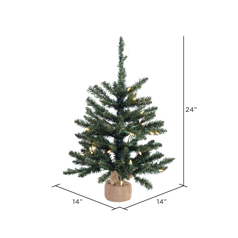 Anoka Pine 2' Lighted Artificial Pine Christmas Tree