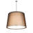 Zackrey 4 - Light Nickel Single Pendant