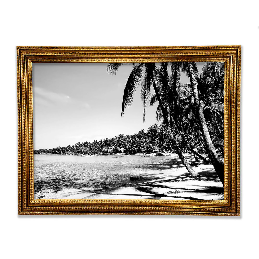 Beach Palms B N W - Druck