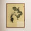 Petite Study No. VII By Hannah Winters-1069263952