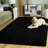 Atlantis Shag 100 Performance Solid Color Rug-1446618009