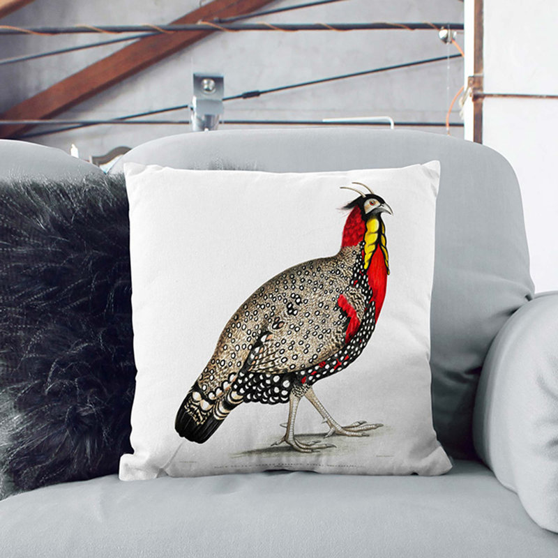 Square Throw Cushion, 40cm H x 40cm W x 15cm D, White