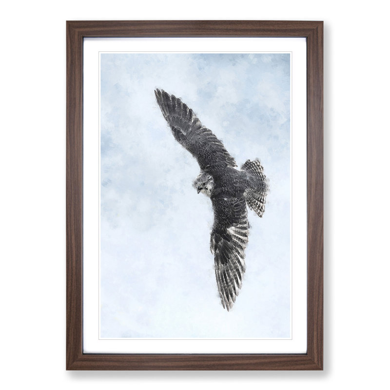 Bird of Prey - Picture Frame Painting, 36cm H x 27cm W x 2cm D, Walnut Framed