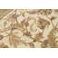 Wool Oriental Area Rug in Ivory