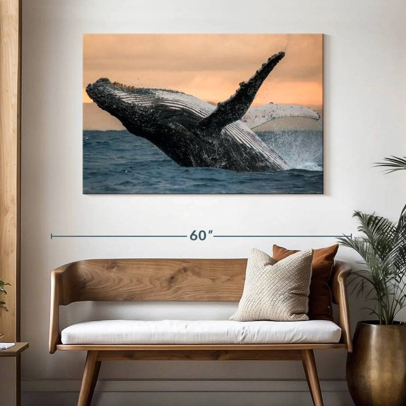Brampt Humpback Whale Toss, 32" H x 48" W