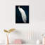Habillé de plumes - impression-119403334-72500299-72500298