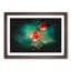 Rose Garden - Picture Frame Graphic Art-56876110-56876106