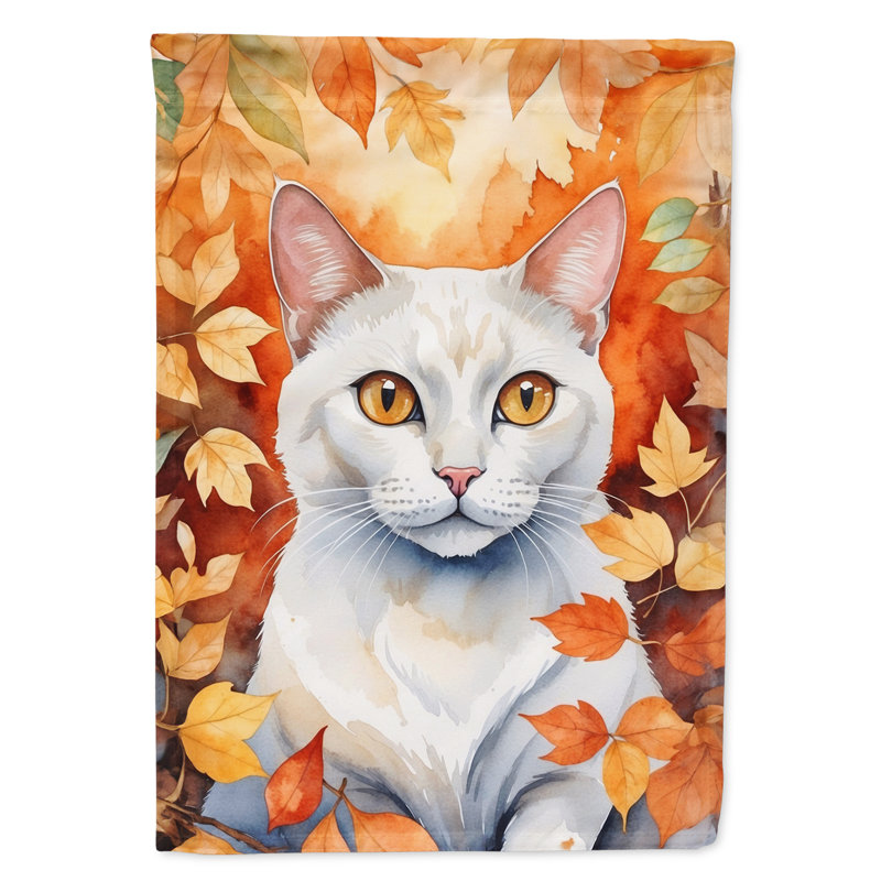 Chat en feuilles d'automne, Khao Manee
