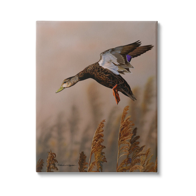 «Duck Flying», photographie sur toile par Richard Clifton, H 20 po x l 16 po x P 1,5 po