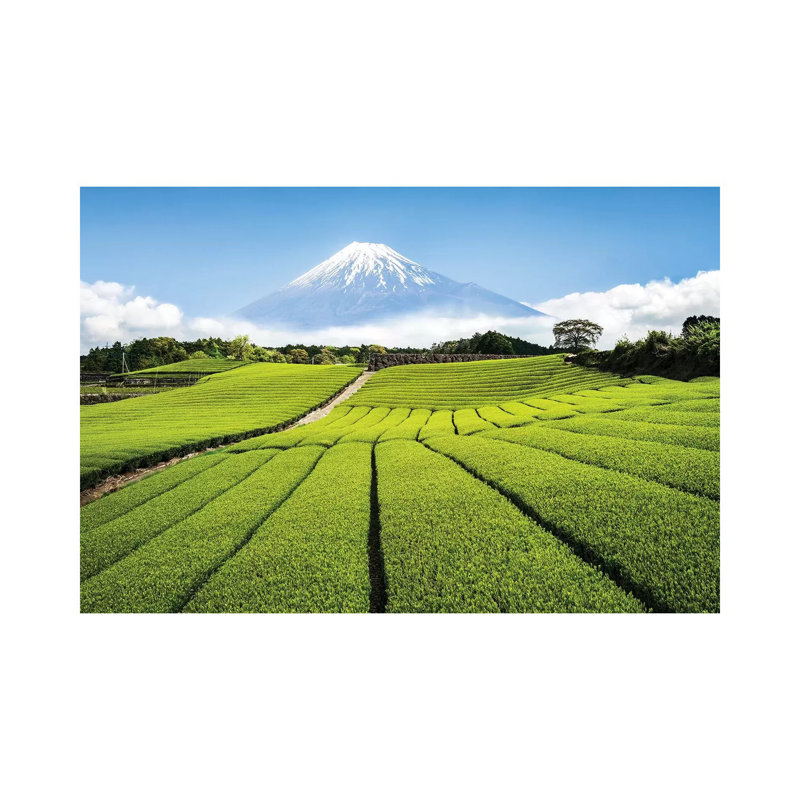 Green Tea Plantation And Mount Fuji by Jan Becke - Wrapped Canvas Gallery-Wrapped Canvas Giclée, 66.04 cm H x 45.72 cm W