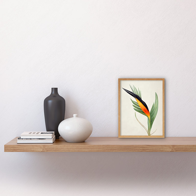 Tropical Bird Of Paradise Flower - Print, 25.9cm H x 20.6cm W x 1.5cm D, Light Brown Framed Paper