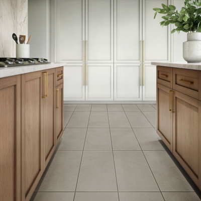 Daltile Indoterra 12 x 24 Colorbody Porcelain Floor Tile with Stepwise Technology (9 PCS Per Carton) (17.02 SQFT Per Carton)