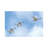 Swan Flight by Brian Wolf - Wrapped Canvas Gallery-Wrapped Canvas Giclée-15783381