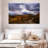 Roadside Aspen Trees-1295004930