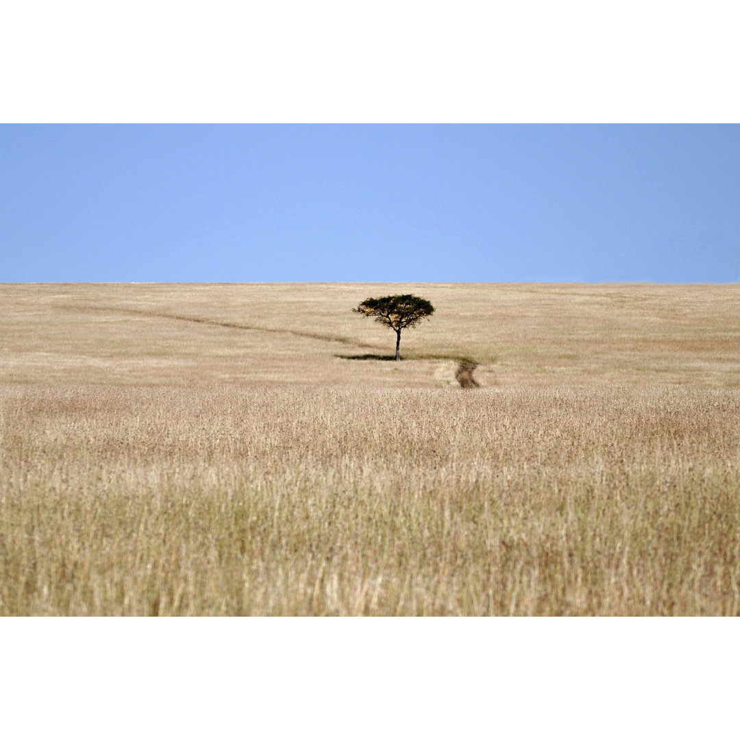 Leinwandbild Bucolic Scene I