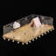 Enclos pour petits animaux Diannie