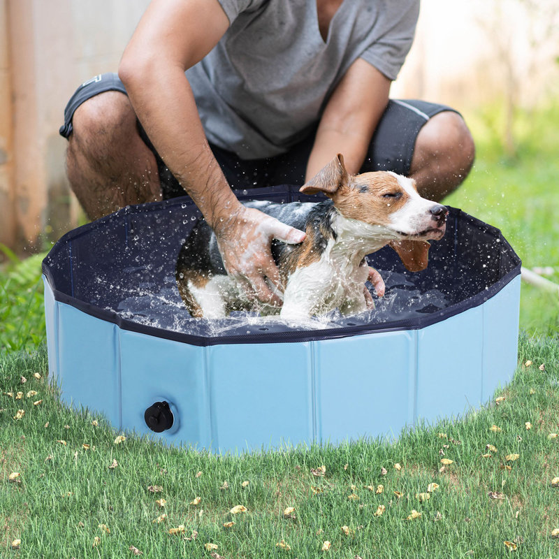 Isai Foldable Dog Pool for Puppies and Ducks, Blue, 20cm H x 80cm W x 80cm D
