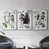 Argent