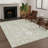 Machine Washable Indoor/Outdoor Chantille ACN2675 Global Rug-744790950-744790936