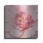 Art mural en métal House of Hampton® «Blush Metallic Peony» par Danhui Nai-1194477565