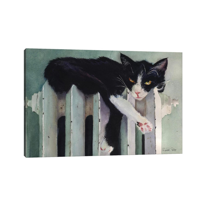 Toasty Tuxedo by Rachel Parker - Wrapped Canvas Gallery-Wrapped Canvas Giclée, 66.04 cm H x 45.72 cm W x 1.91 cm D