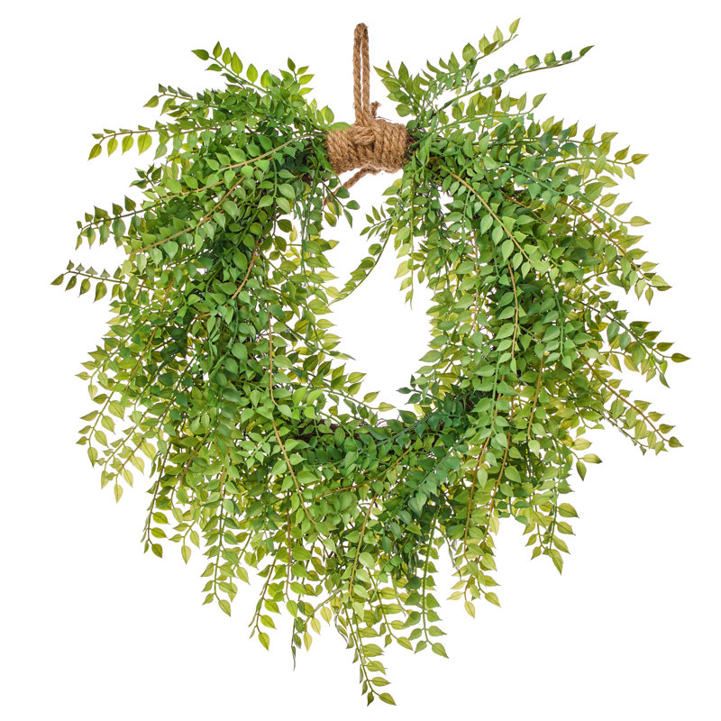 Couronne 24 po Ruscus