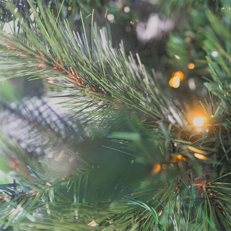 BURLINGHAM BRISTLE - Christmas Tree with Colour Switch Lights, 7.5 ft