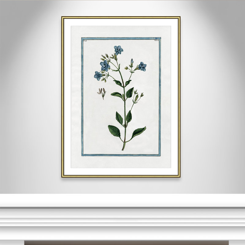 Shabby Elegance Botanical II by Kelly Donovan, 30.75" W x 42.75" H, Gold Framed