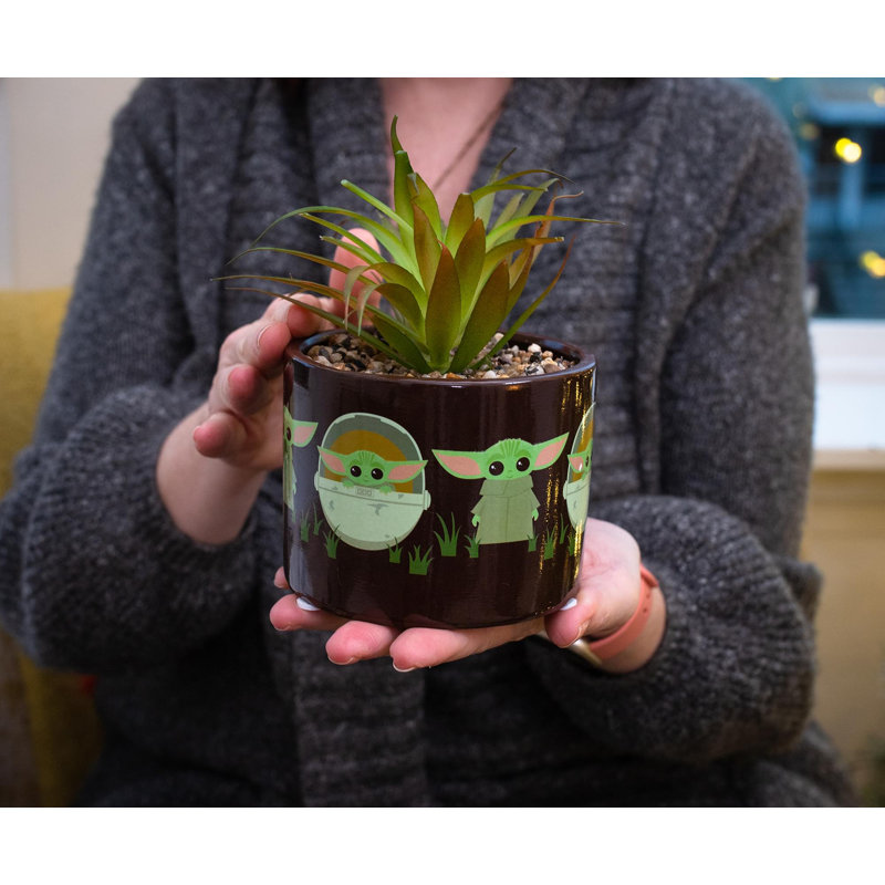 Plante succulente artificielle en pot The Child