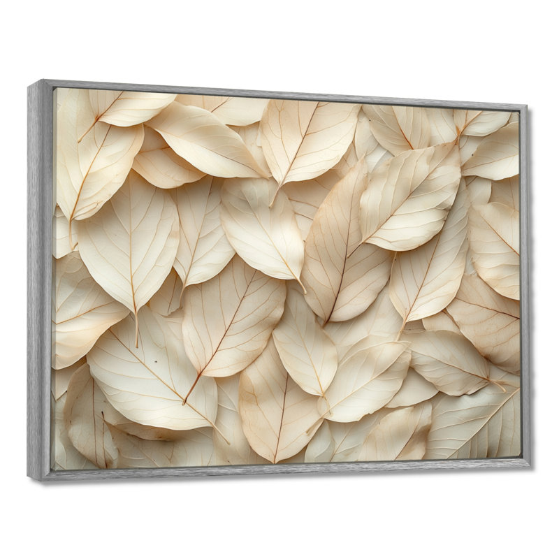 Jabrion - Floral Large Wall Art, H 12 po x l 20 po, Impression encadrée flottante, Argent argent