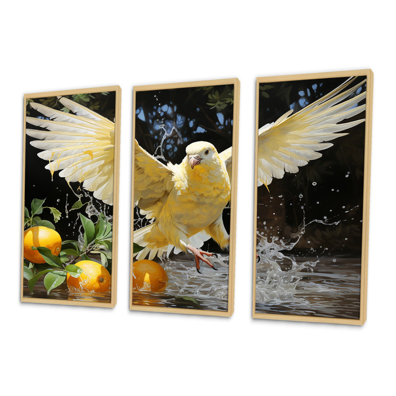 Graceful Dove I - ensemble d'art mural sur toile Dove, Cadre naturel flottant, H 40 po x l 60 po