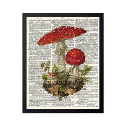 Fly Agaric Mushroom