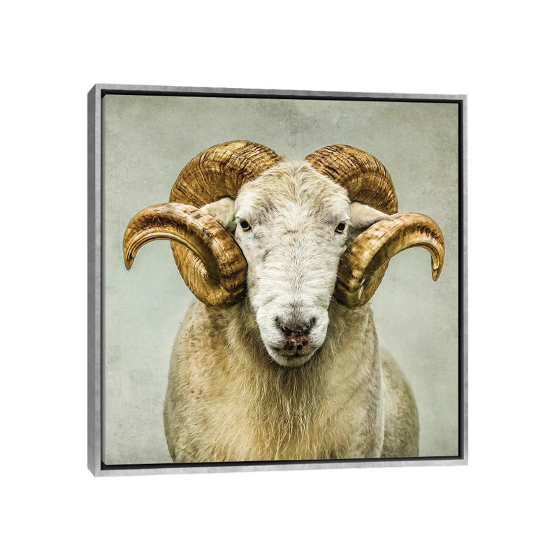 « Stare » par Mark Gemmell-impression d’art graphique, Pas de tapis, H 26 po x l 26 po x P 1,5 po, Toile avec cadre argenté