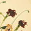 Wildflower Medley by Shaina Page-1593728429